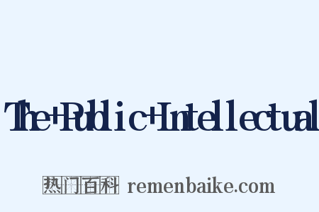 The+Public+Intellectual是什么意思的图片